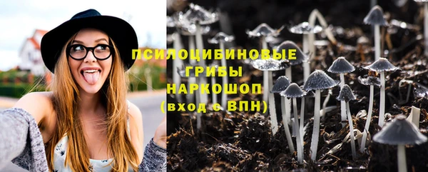 дурь Абаза