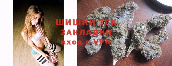 индика Абдулино