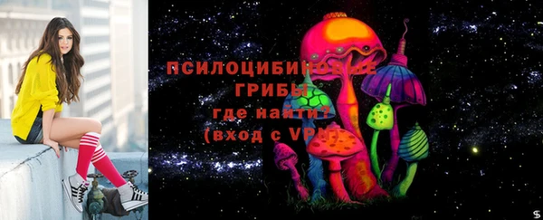 индика Абдулино