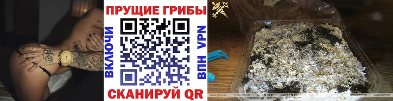 Псилоцибиновые грибы мухоморы  Миллерово 